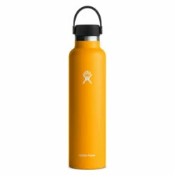 Hydro Flask 24 Oz Standard Mouth Water Bottle 32 Hydro Flask 24 Oz Standard Mouth Water Bottle -Gearheadoutfitters Shop 125 400759 0 image 1527383 44218ae6 0573 4378 acd6 de4bdc2a59e1 1