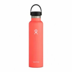 Hydro Flask 24 Oz Standard Mouth Water Bottle 38 Hydro Flask 24 Oz Standard Mouth Water Bottle -Gearheadoutfitters Shop 125 400759 1788138 image 1161117 beb42765 db8c 4ed1 905a 04bc16aa446c 1