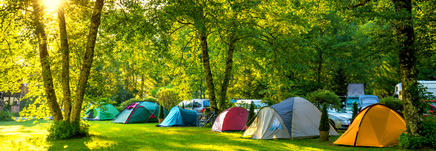 Gearheadoutfitters Shop -Gearheadoutfitters Shop 4