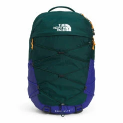 The North Face Borealis -Gearheadoutfitters Shop NF0A52SE 8N6 hero