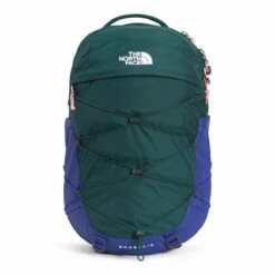 The North Face Women's Borealis -Gearheadoutfitters Shop NF0A52SI 8E8 hero 1