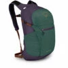 Daylite Plus -Gearheadoutfitters Shop dayltpluss21 f22 side axogreenenchantmentpurple