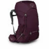 Renn 50L -Gearheadoutfitters Shop renn50 s19 side aurorapurple